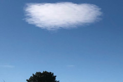 53481163840_e47f0727f5_c
