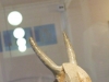 5767724618_759994ce9c_z
