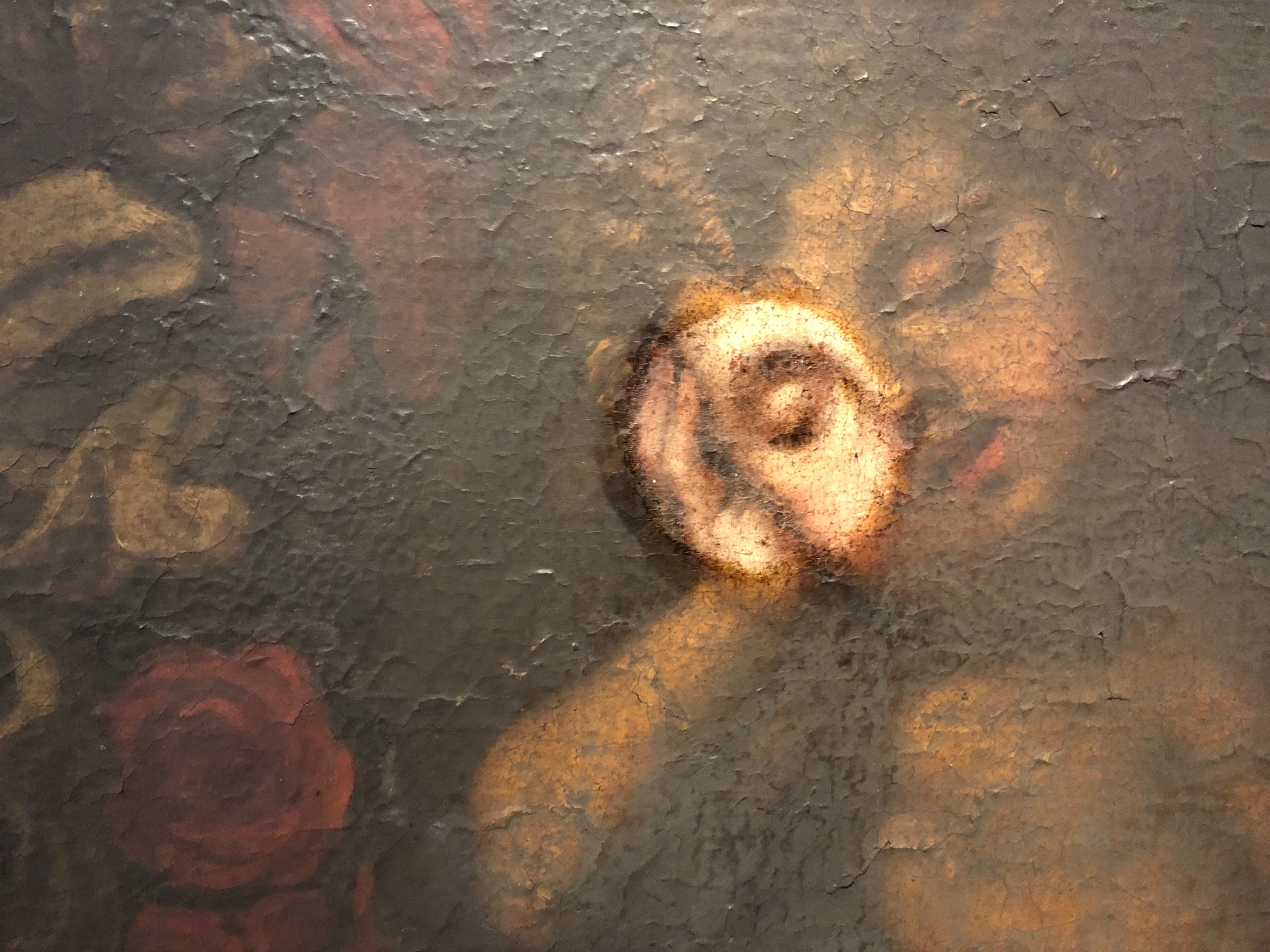 Sophy Rickett’s missing women