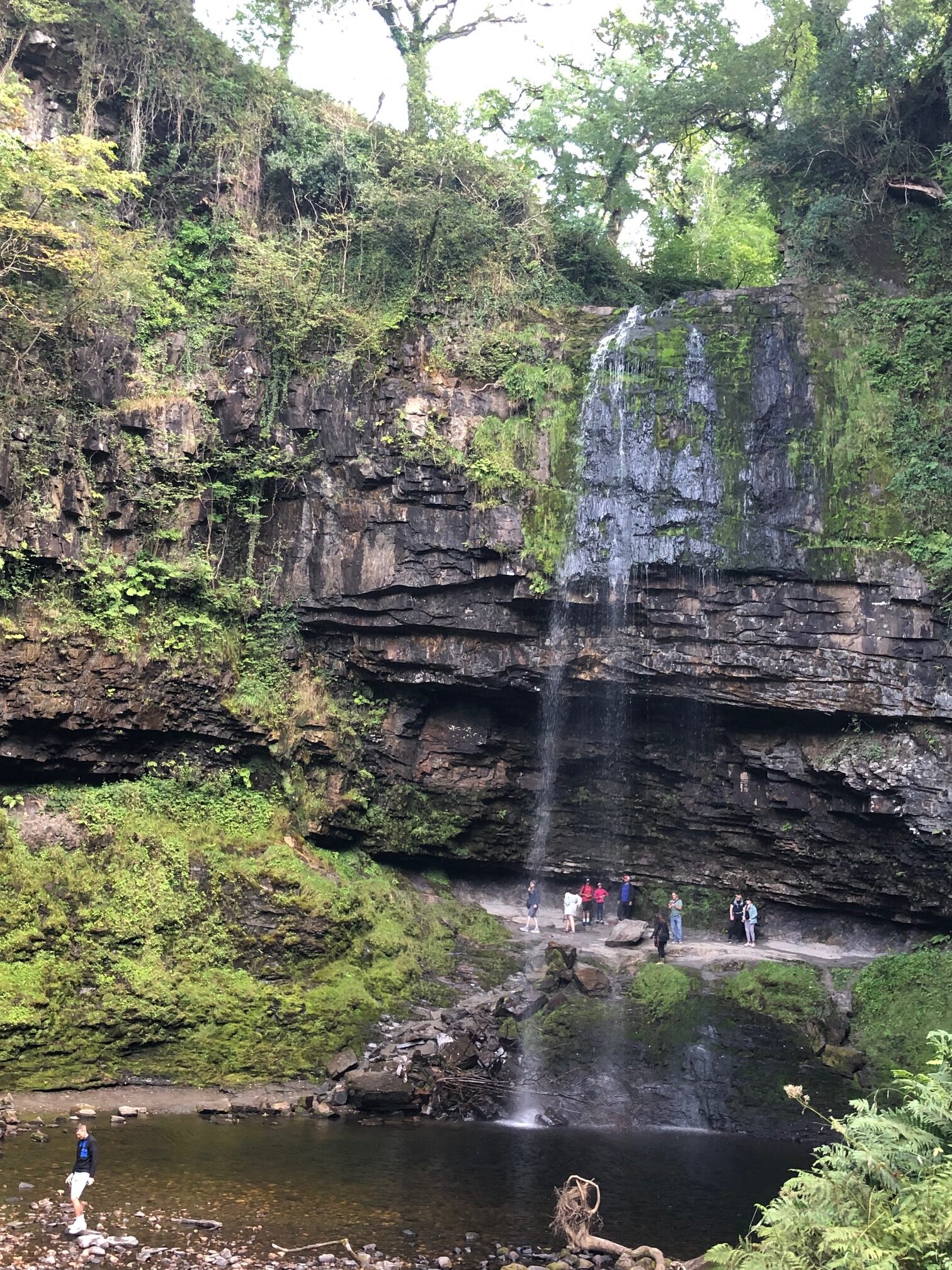 Michael Faraday watches water fall