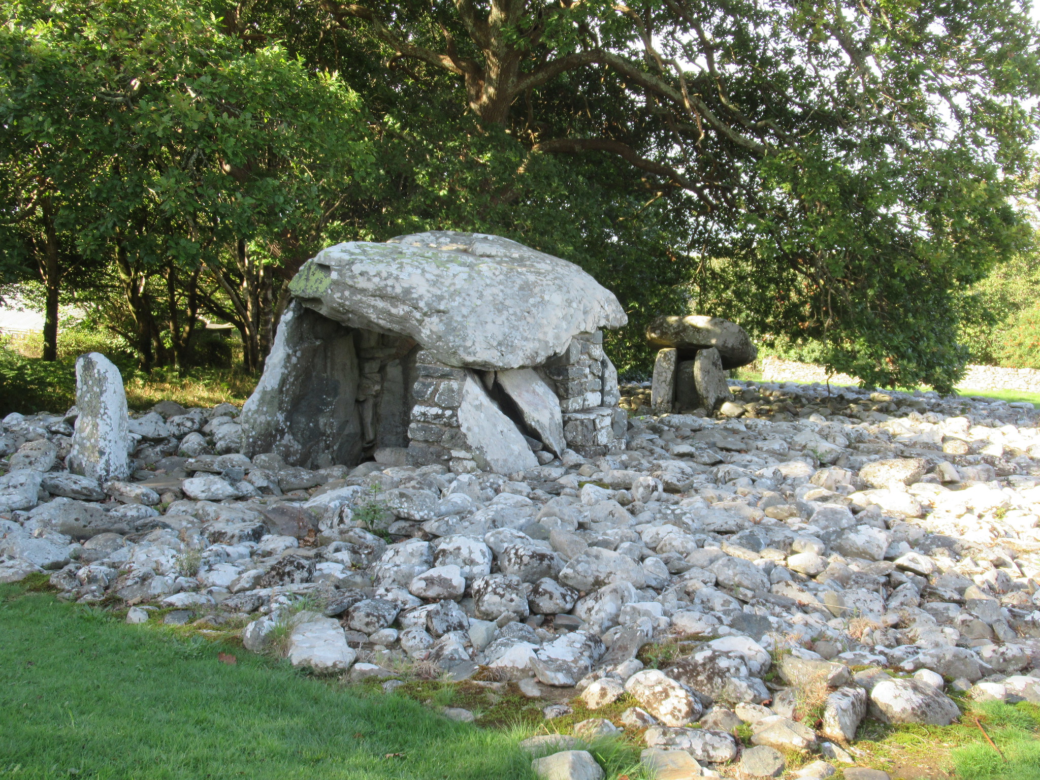 Wandering in Meirionnydd