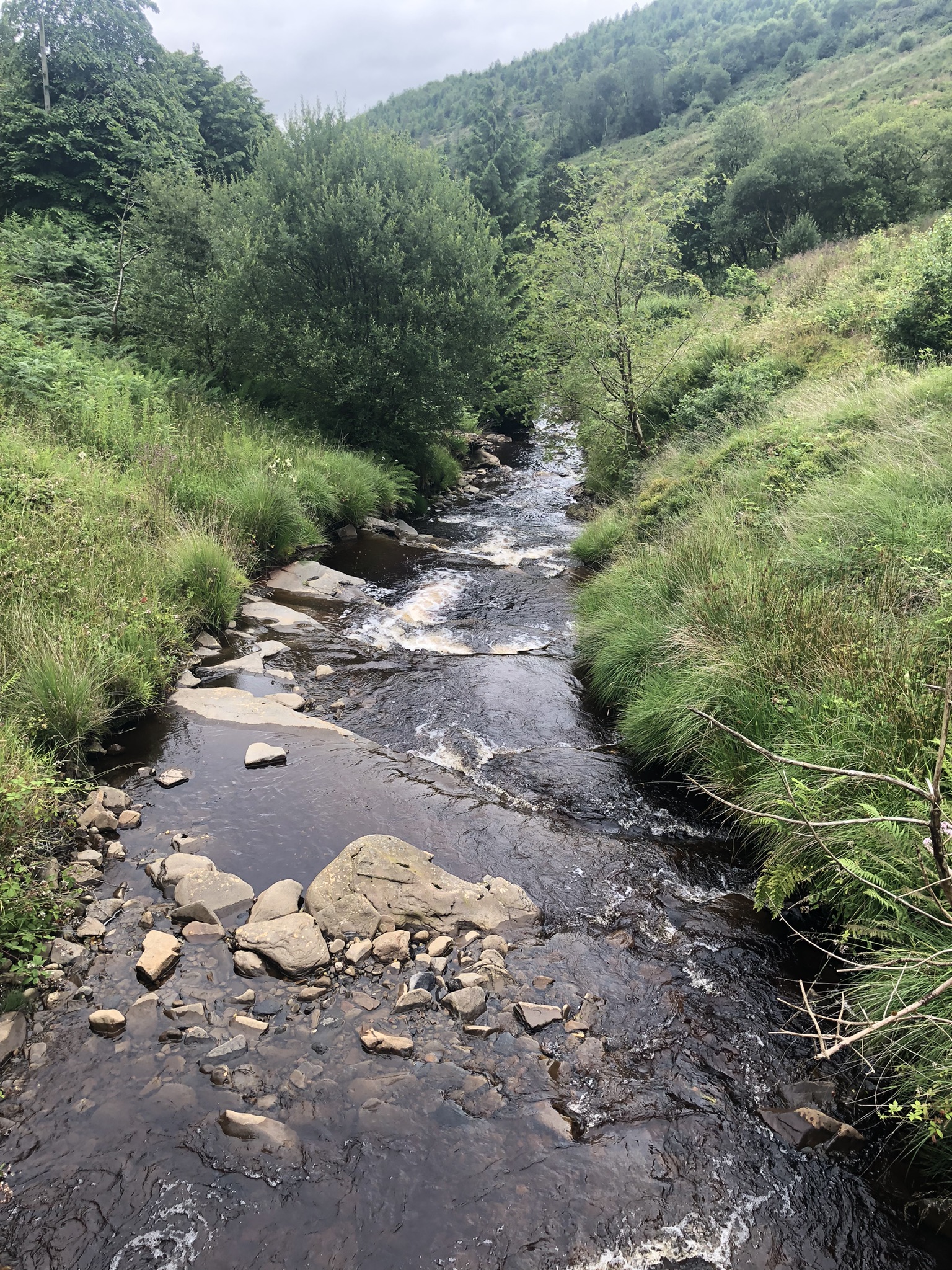 St Illtud’s Walk, day 7: Resolfen to Afan Argoed